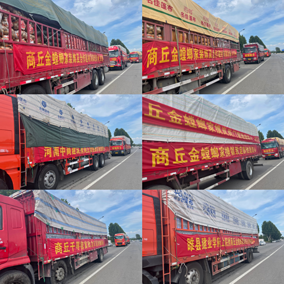 环球UG官网